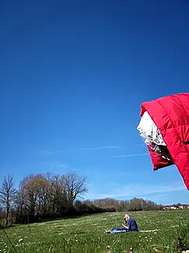 bellapaty online show from March 2026 12:52:01 PM