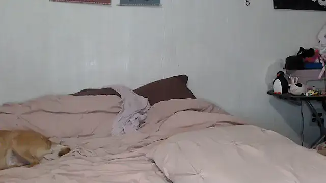 Cupcakecutie449 online show from November 2025 08:07:02 AM