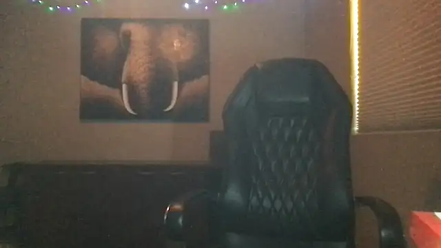 Bwcjoshbanks online show from March 2026 09:38:02 PM