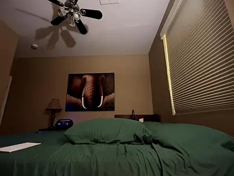 Bwcjoshbanks online show from November 2025 06:25:01 PM