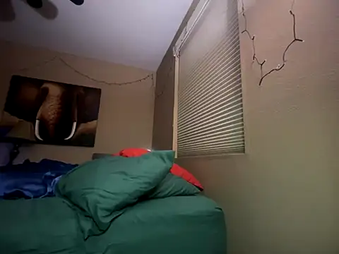 Bwcjoshbanks online show from November 2025 06:24:02 AM