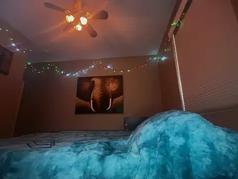 Bwcjoshbanks online show from February 2026 11:57:01 PM