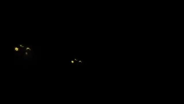 denise sweetbunny online show from February 2026 05:24:02 PM