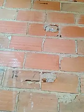 magrinhosafadao online show from November 2025 09:20:01 AM