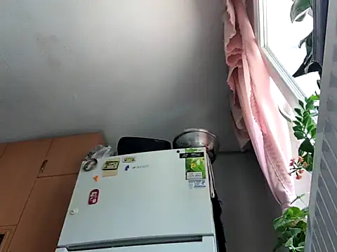PandaDadd online show from May 2026 10:36:01 AM