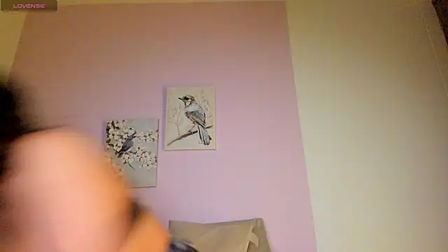 Mhia palmer online show from February 2026 11:19:02 AM