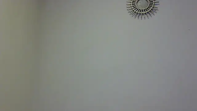 feline27 online show from November 2025 08:47:02 PM