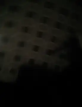 Snapshot of deshifuckers chatting on January 2025 02:22:02 AM deshifuckers online show from January 2025 02:22:02 AM