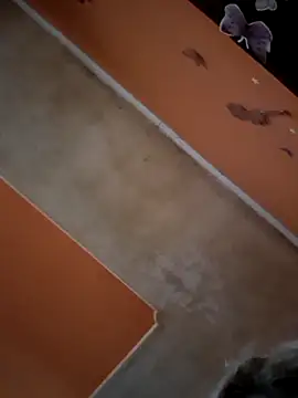 ducicsajsziii online show from November 2025 02:17:02 PM