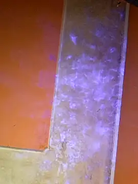 ducicsajsziii online show from March 2025 08:33:02 PM