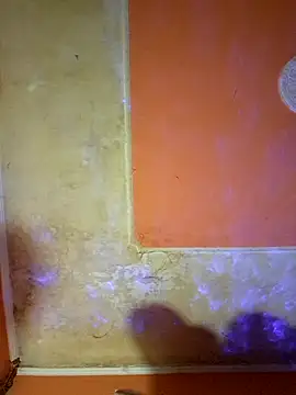 ducicsajsziii online show from March 2025 01:29:01 PM