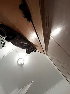 Snapshot of bruna_safadinhaa chatting on September 2025 11:59:02 AM bruna safadinhaa online show from September 2025 11:59:02 AM