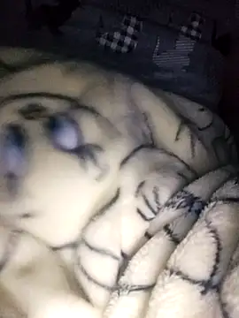 Snapshot of bruna_safadinhaa chatting on February 2025 09:56:02 AM bruna safadinhaa online show from February 2025 09:56:02 AM