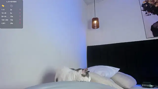 dolly zoe online show from March 2026 07:19:01 PM