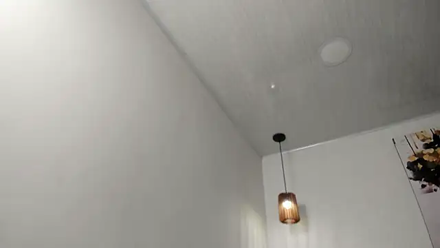 Snapshot of dolly_zoe chatting on February 2026 04:56:01 AM dolly zoe online show from February 2026 04:56:01 AM