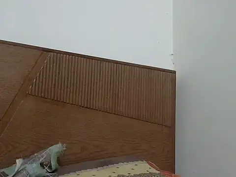 shekira99 online show from November 2025 03:05:02 PM