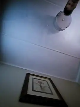 j hollywood91 online show from November 2025 03:13:02 PM