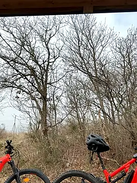 Snapshot of petrouchkaaa_ chatting on March 2026 09:38:02 AM petrouchkaaa online show from March 2026 09:38:02 AM