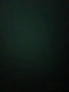 Snapshot of Soylu95 chatting on November 2025 10:58:01 PM Soylu95 online show from November 2025 10:58:01 PM