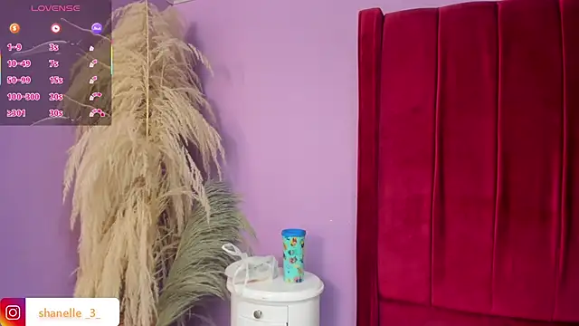 Shanelle   online show from April 2026 02:19:01 PM