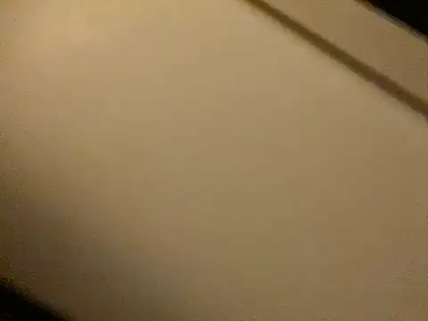 Snapshot of ROXYNL chatting on January 2025 07:04:01 PM ROXYNL online show from January 2025 07:04:01 PM