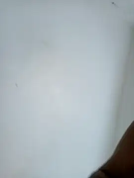 casal7722 online show from February 2026 03:00:01 PM