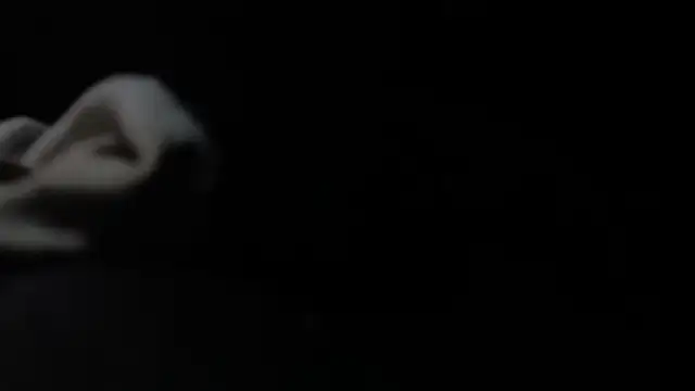 Snapshot of VARGAcz chatting on February 2026 01:50:02 PM VARGAcz online show from February 2026 01:50:02 PM