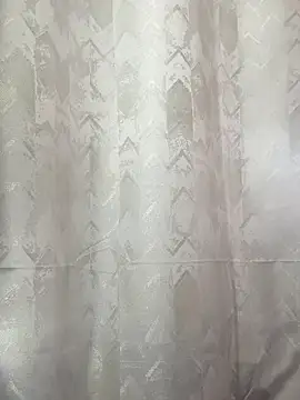 Alahia Rodriguez online show from November 2025 08:31:02 PM