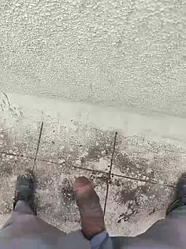 samlord261 online show from November 2025 11:35:02 AM