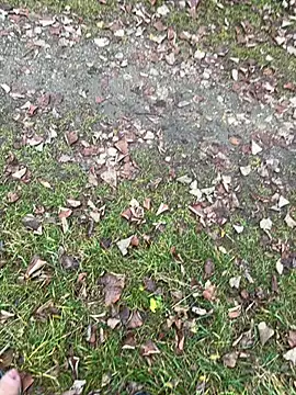 Aronn4 online show from November 2025 08:07:02 AM