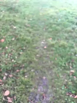 Aronn4 online show from October 2025 06:13:01 AM