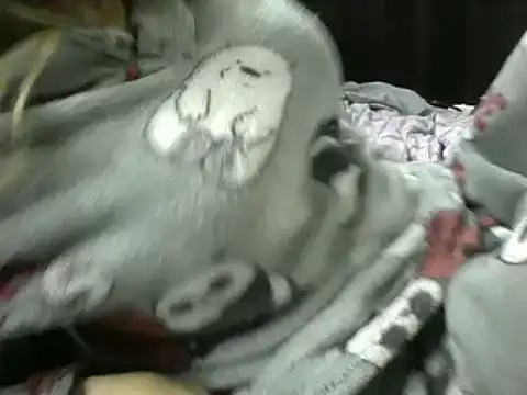 Snapshot of Paulita_x3 chatting on September 2025 11:54:02 AM Paulita x3 online show from September 2025 11:54:02 AM