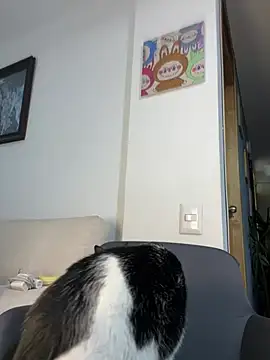 ananya sex1 online show from March 2026 05:58:01 AM