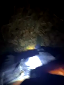 Germanboyy91 online show from December 2025 01:50:02 AM