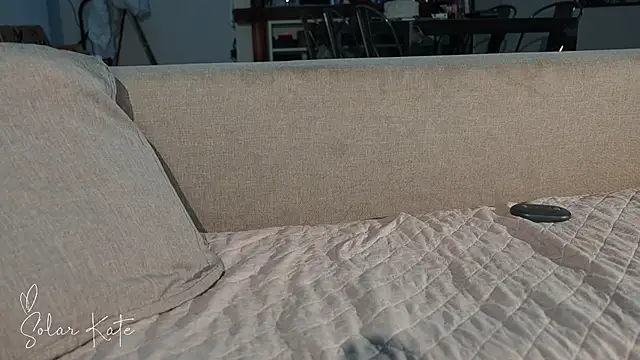 Snapshot of solarkate chatting on February 2025 09:24:01 AM solarkate online show from February 2025 09:24:01 AM