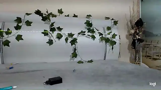 Bigboobs6930 online show from February 2026 05:05:02 AM