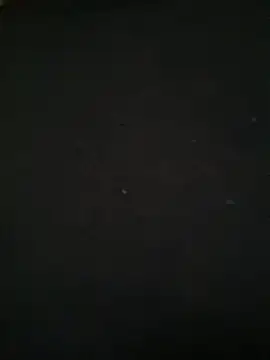 Snapshot of Ruby_bear chatting on March 2025 08:55:01 AM Ruby bear online show from March 2025 08:55:01 AM