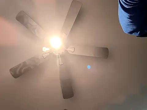 fransexdol online show from February 2025 10:26:02 PM