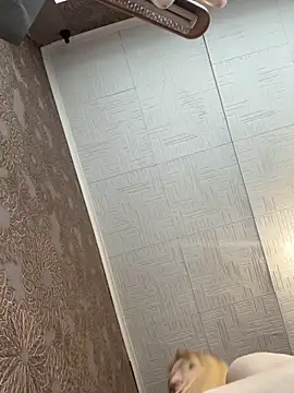 Snapshot of AmmyHot chatting on November 2025 04:04:01 AM AmmyHot online show from November 2025 04:04:01 AM