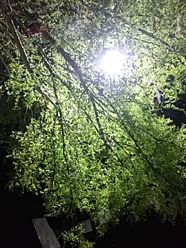 Hotbodyscottie online show from March 2026 09:11:01 AM