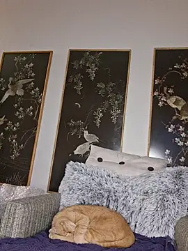 Hotbodyscottie online show from February 2026 12:03:01 PM