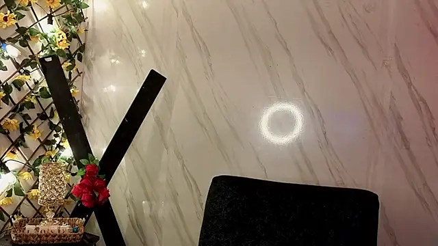 jeimy garcia online show from February 2026 12:07:01 PM