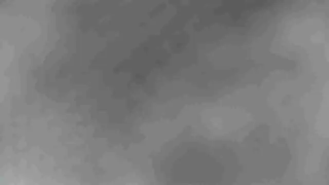 sclax38 online show from January 2025 09:54:02 AM