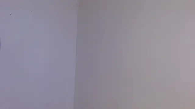 king  Black online show from November 2025 04:28:01 AM