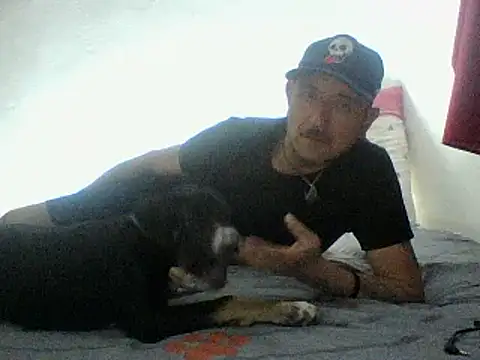 cartiagiz online show from September 2025 02:07:01 AM