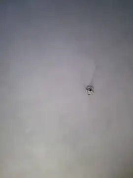 Ricorryxh online show from February 2025 02:03:02 AM