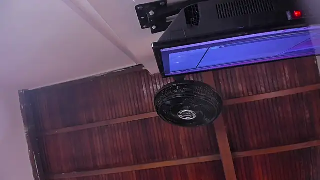 emily-fox online show from February 2026 11:10:02 AM