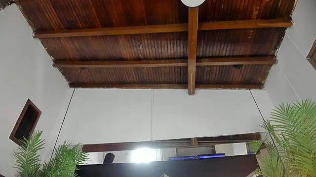 emily-fox online show from March 2026 11:01:02 AM