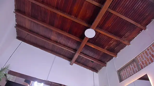 emily-fox online show from March 2026 11:10:01 AM