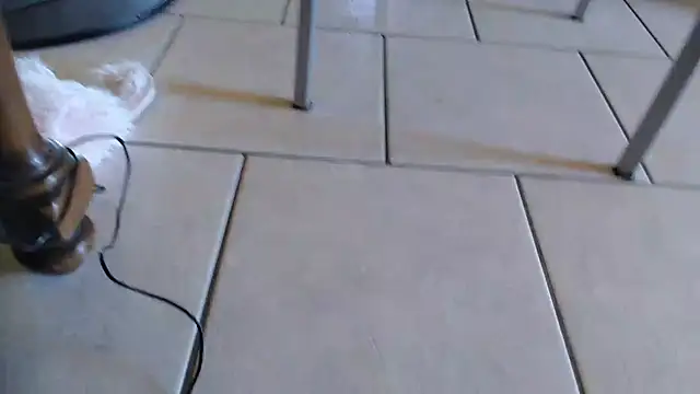 69porcellone69 online show from October 2025 07:01:02 AM